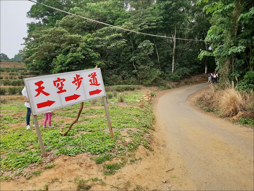 銅鑼貓公坑